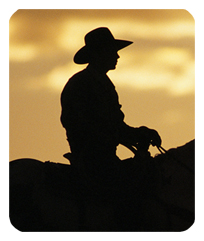 DF35-360-BZ Cowboy Bronze